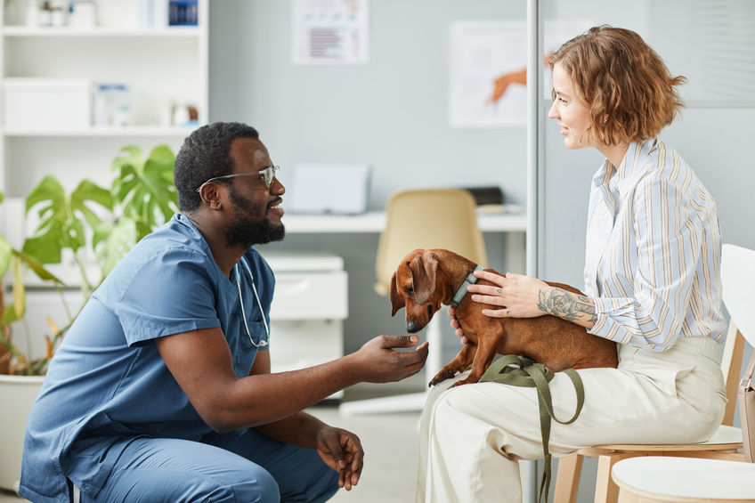 pet owner with dachshund talking to vet