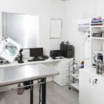 Veterinary Clinic Interior