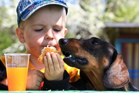 Boy Feeding His Dog