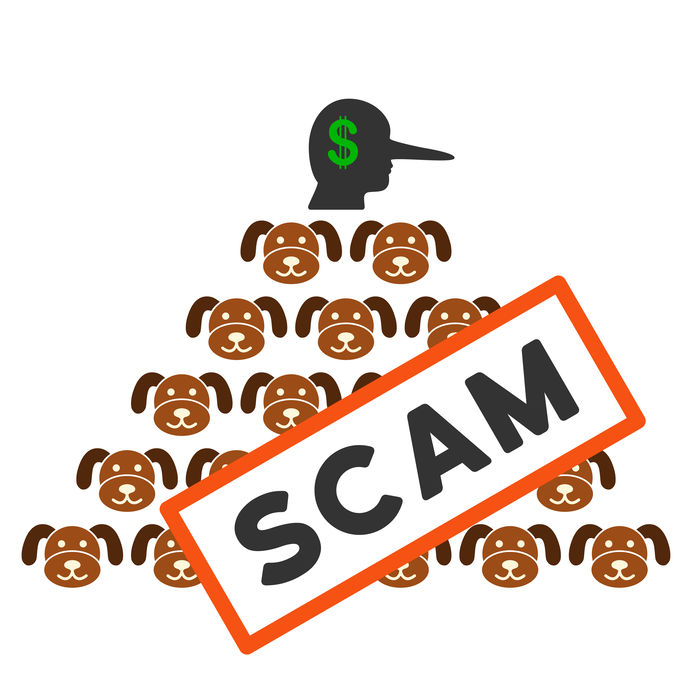 How to Avoid an Online Puppy Scam