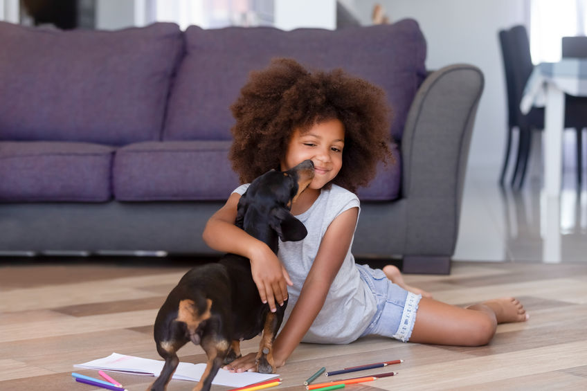 Preschool african girl distracted from drawing playing caressing dachshund puppy on warm floor with parent in living room having fun at home, modern house, best friend for kid, family with pet concept
